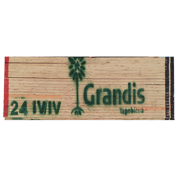 Fenólico Tapebicua Grandis Eucaliptus lV/lV 24mm