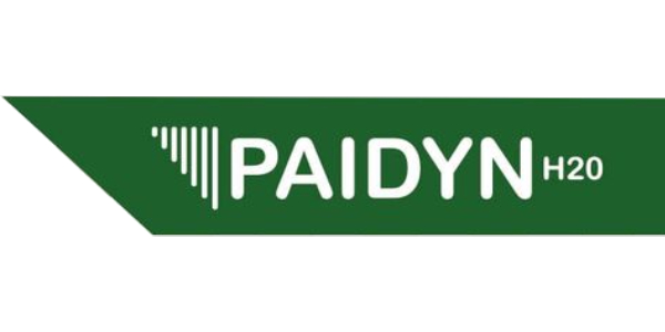 logo paidyn
